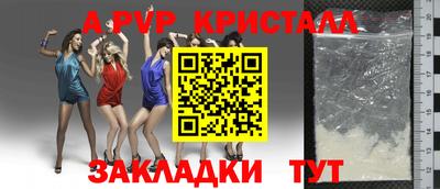 мдпв Камышлов