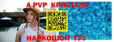 мдпв Камышлов