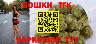 мдпв Камышлов