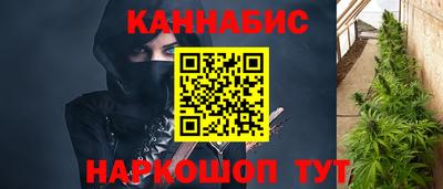 мдпв Камышлов